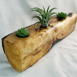 Hand made wood airplant display